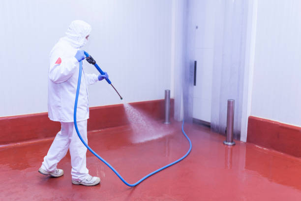 Pre-Holiday Cleaning in Lakeville, MN